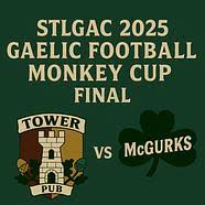 Image result for Ballerin Gaelic Athletic Club