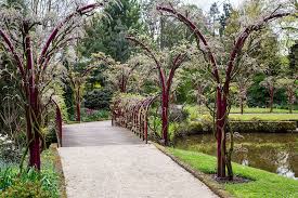 Image result for Arboretum Trompenburg