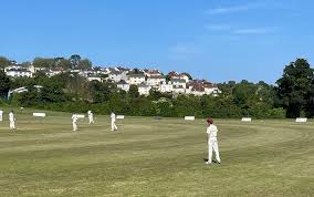 Image result for Whitchurch Wayfarers Cricket Club