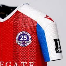 Image result for Dorking Football Club Limited