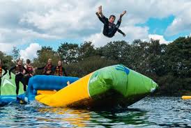 Image result for New Forest/Waterside