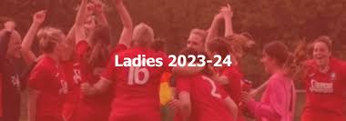 Image result for Hassocks Ladies FC