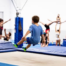 Image result for Fish trampoline and gymnastics club