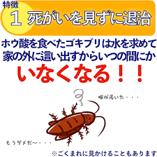 Image result for ゴキブリ報告所