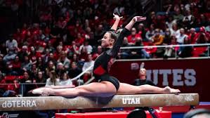 Image result for Jayenell Gymnastics Club