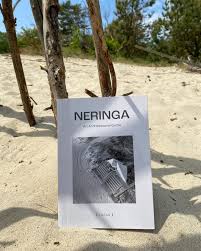 Image result for keltas vilnius