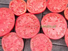 Afbeeldingsresultaat voor marizol purple tomato