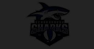 Image result for Scarborough Seahawks Basketball Club