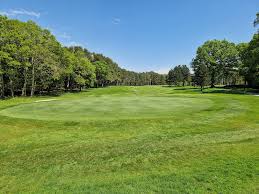 Image result for Brokenhurst Manor Golf Club