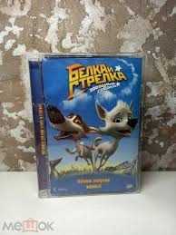 Картинки по запросу белку зажевало в диск