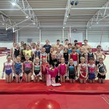 Image result for City Of Newcastle Gymnastics Academy