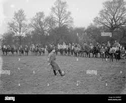 Image result for Chiddingfold Branch Of The Pony Club