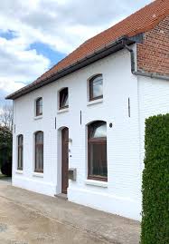 Image result for kaleien