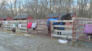 Image result for Cliff Hatch Stables