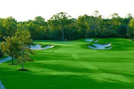 Image result for Westwood Golf Club