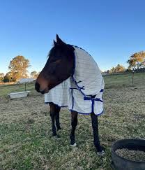 Image result for Bletchingly Badminton Club