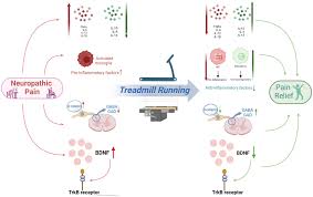 Image result for Sfânta Iuliana Falconieri