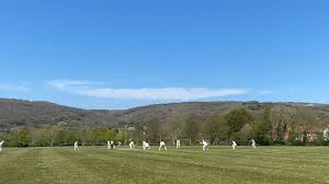 Image result for Steyning Cricket Club