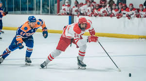 Image result for York University Hockey Club