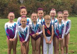 Image result for Fenland Flyers