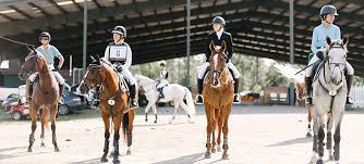 Image result for South Weylands Equestrian