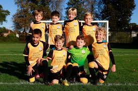 Image result for Ashtead Football Club