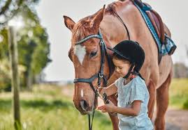 Image result for Beechwood Riding School