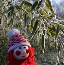 Image result for North West Balloon and Airship Club