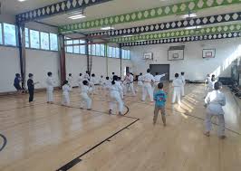 Image result for Haslemere Shotokan Karate Club
