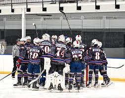 Image result for New Milton Hockey Club