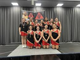 Image result for Sas Netball Club