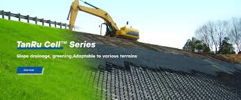 Image result for geoline tehron