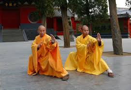 Image result for Chat Ying Kuen Kung Fu Club