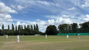Image result for Hollingworth Cricket Club