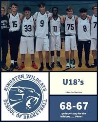 Image result for Kingston Wildcats Basketball Club