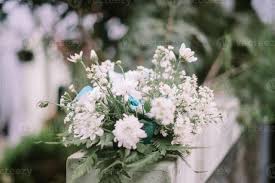 Attēlu rezultāti vaicājumam “Gypsophila paniculata”