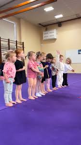 Image result for Horsham Gymnastics Club
