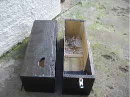 Image result for Bristol Swifts