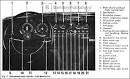 Gallery - Jaguar Repair Manual - Jaguar S-Type 3.4 and 3.8: 1963 ...