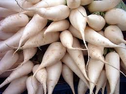 Image result for Rettich