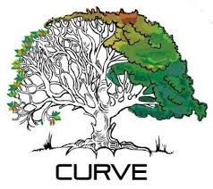 Image result for University College London Ultimate Frisbee Club