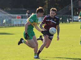 Image result for Tara Gfc