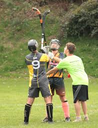 Image result for Cornwall Shinty Club