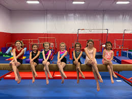 Image result for Bury Spectrum Gymnastics Club
