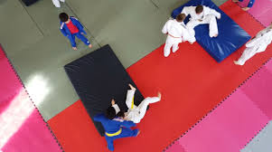 Image result for Hoghton Judo Club