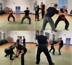 Image result for Bujinkan Truro Dojo