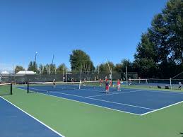 Image result for Crescent Lawn Tennis Club (Brislington)