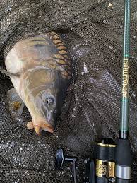 Image result for Cobham Court Angling Club