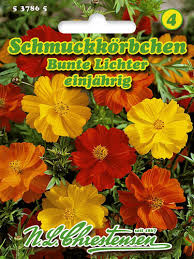 Image result for Schmuckkörbchen