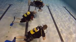 Image result for Meadurst Sub-Aqua Club